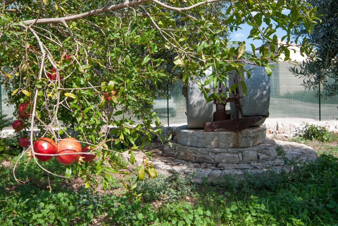 Agriturismo Al Casale Donnafugata Exterior photo